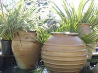 
						
							Outdoor plant pots
						
